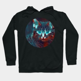 Dominant mycat, revolution for cats Hoodie